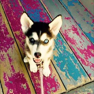 Meet your Posher, Nick